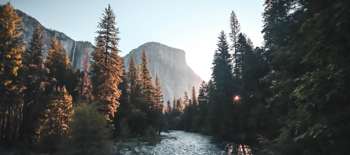 Yosemite Travel Guide