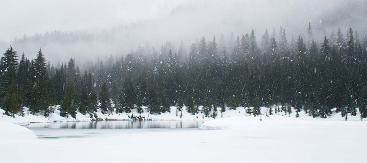 trees covered in snow near a frozen lake